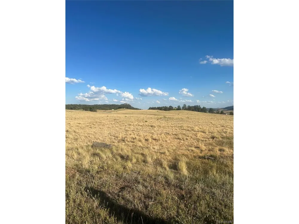 290 Castle Mountain Drive Florissant, CO 80816