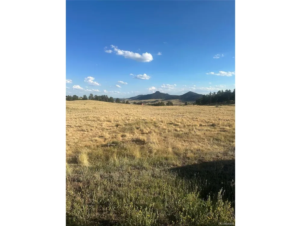 290 Castle Mountain Drive Florissant, CO 80816
