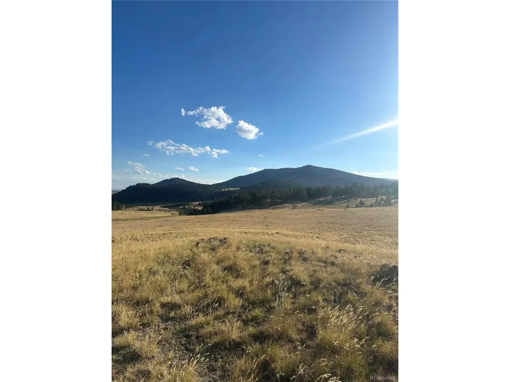 290 Castle Mountain Drive Florissant, CO 80816