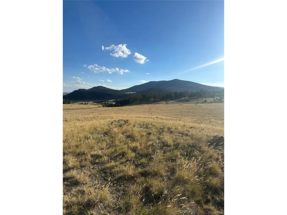 290 Castle Mountain Drive Florissant, CO 80816