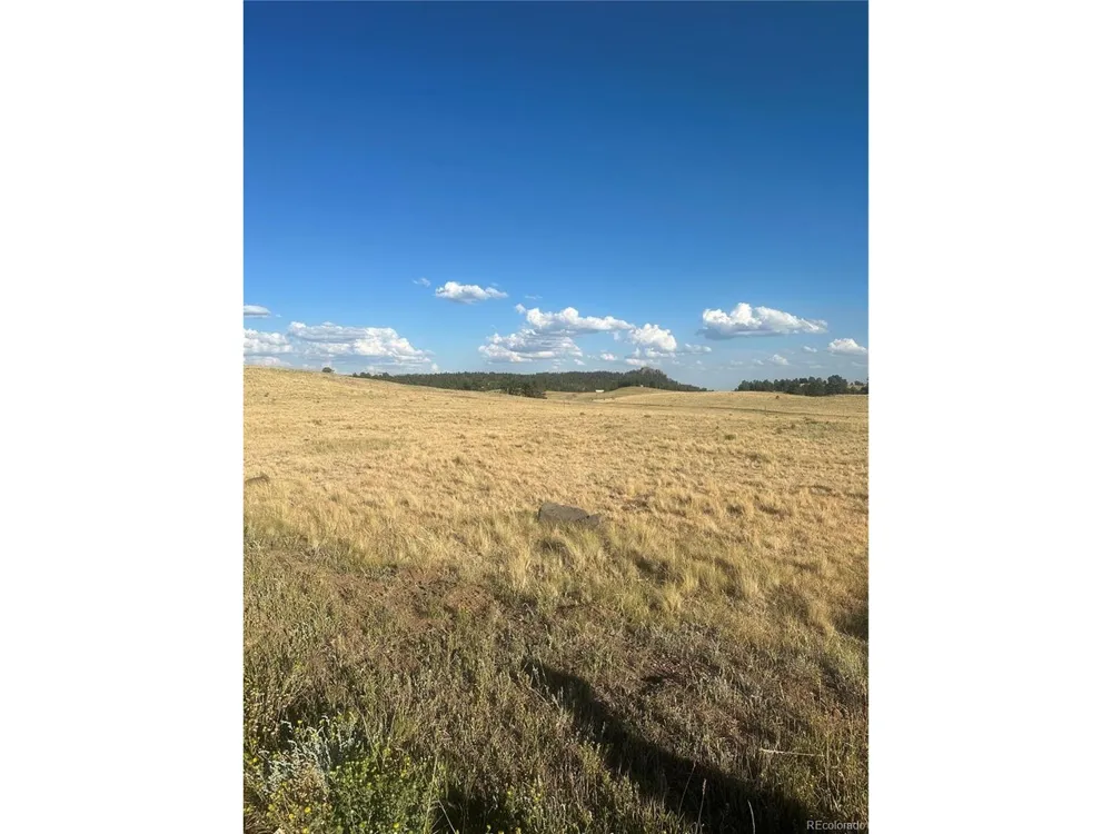 290 Castle Mountain Drive Florissant, CO 80816