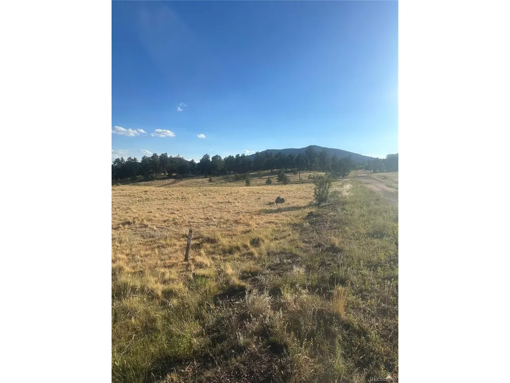 290 Castle Mountain Drive Florissant, CO 80816