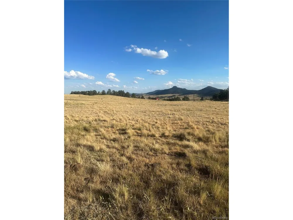 290 Castle Mountain Drive Florissant, CO 80816