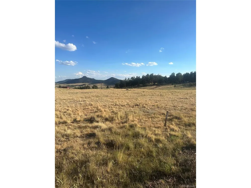 290 Castle Mountain Drive Florissant, CO 80816