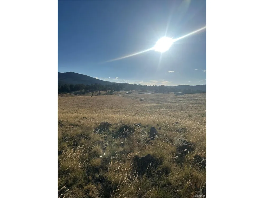 290 Castle Mountain Drive Florissant, CO 80816