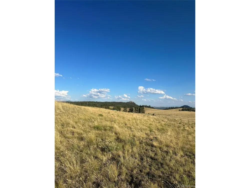 290 Castle Mountain Drive Florissant, CO 80816
