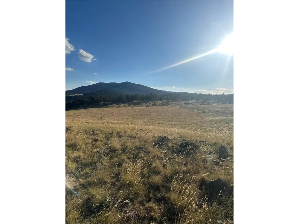 290 Castle Mountain Drive Florissant, CO 80816