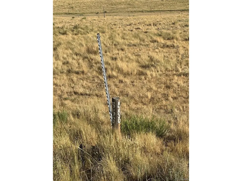 290 Castle Mountain Drive Florissant, CO 80816