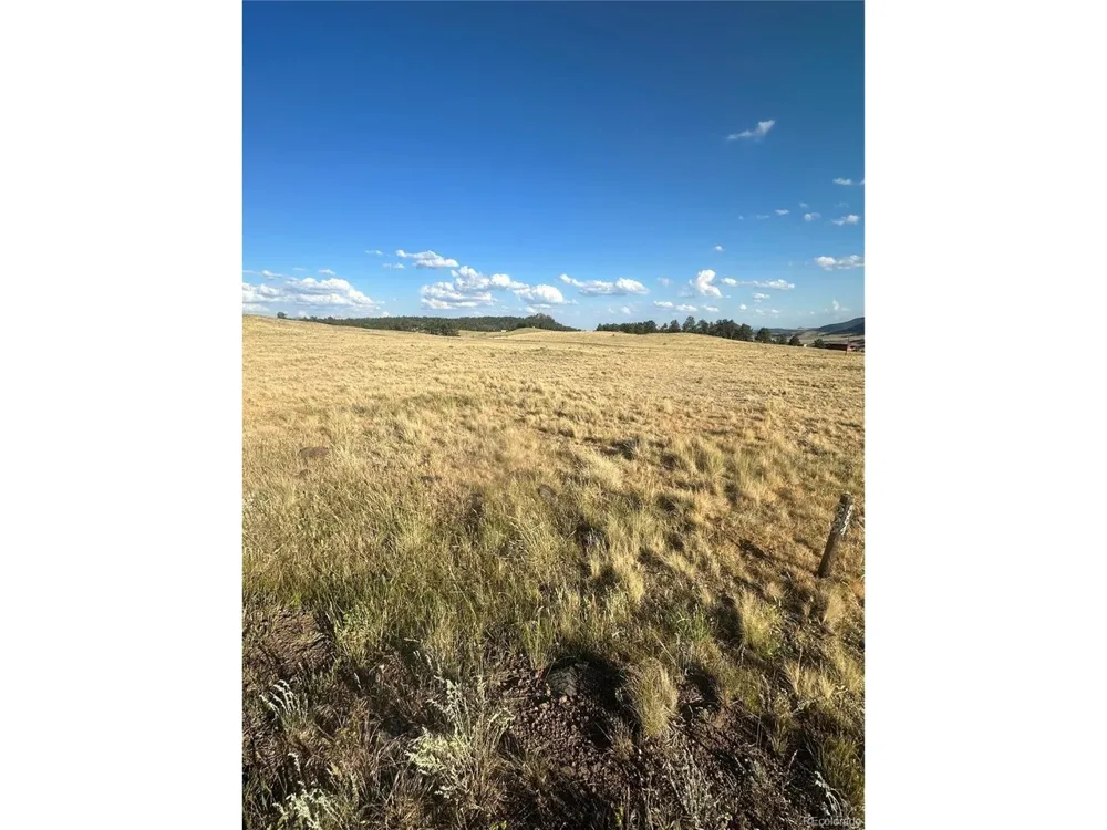 290 Castle Mountain Drive Florissant, CO 80816