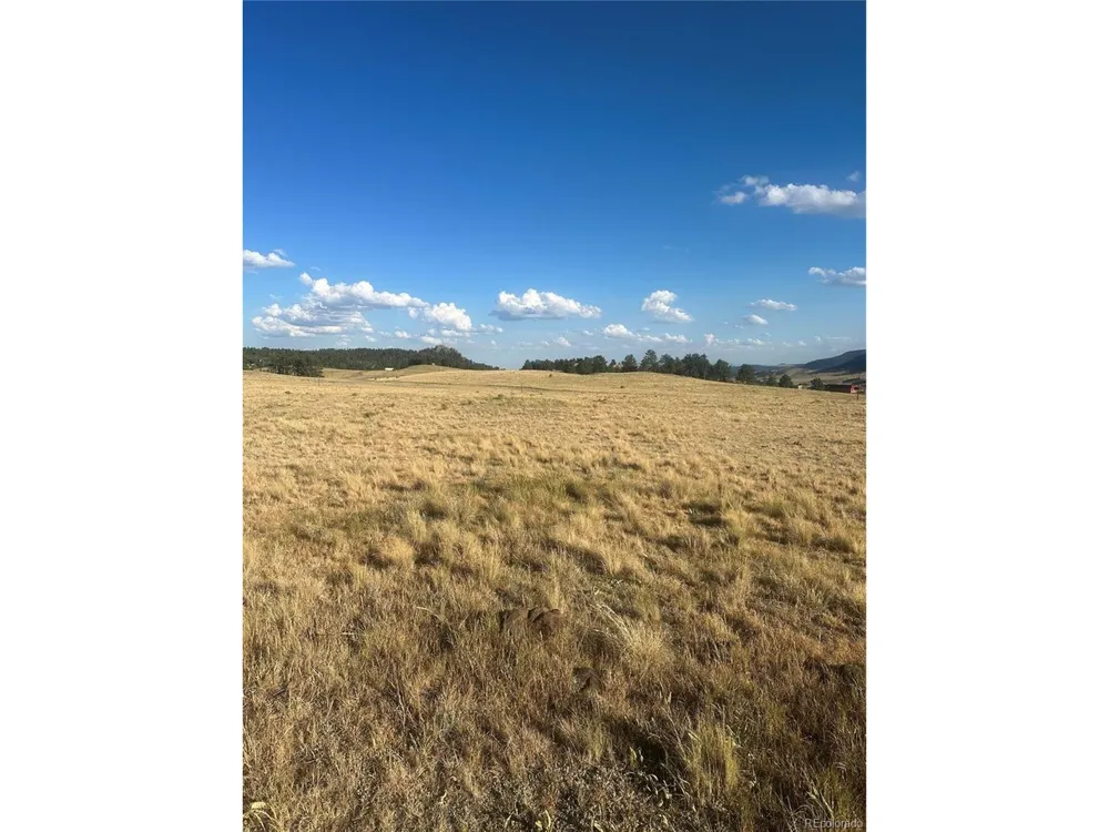 290 Castle Mountain Drive Florissant, CO 80816