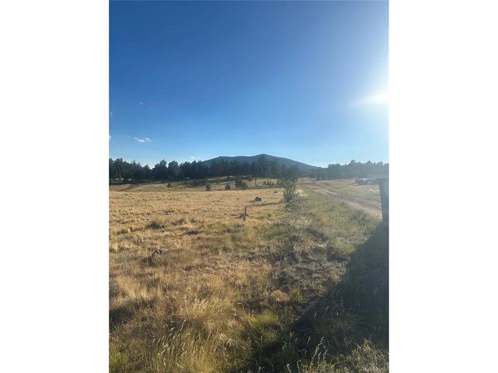 290 Castle Mountain Drive Florissant, CO 80816