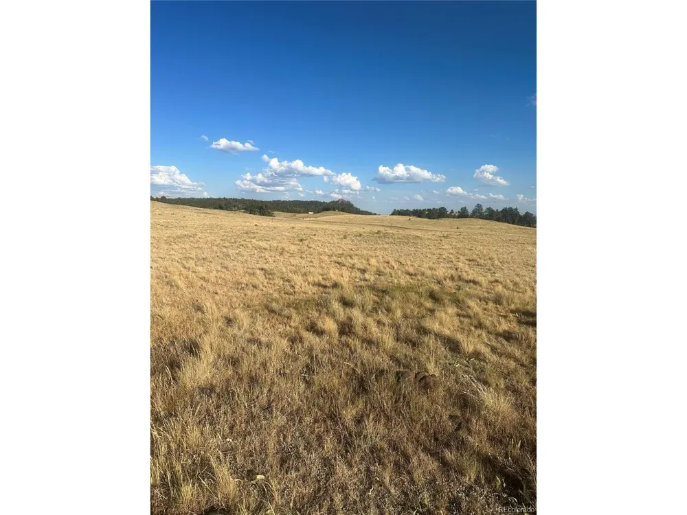 290 Castle Mountain Drive Florissant, CO 80816