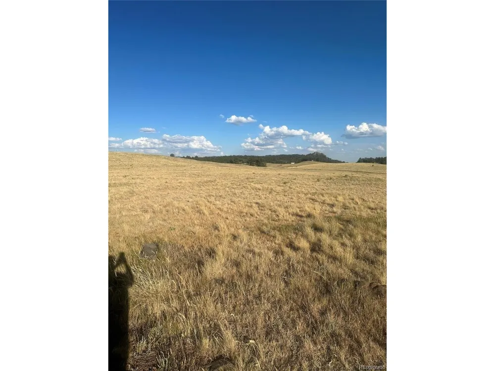 290 Castle Mountain Drive Florissant, CO 80816