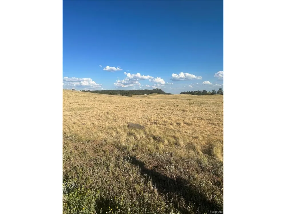290 Castle Mountain Drive Florissant, CO 80816