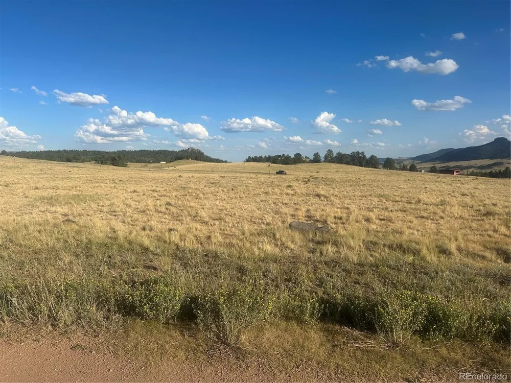 290 Castle Mountain Drive Florissant, CO 80816