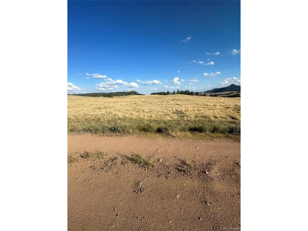 290 Castle Mountain Drive Florissant, CO 80816