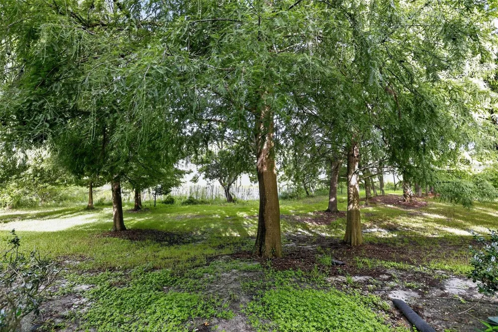 866 VINELAND PLACE Lake Mary, FL 32746