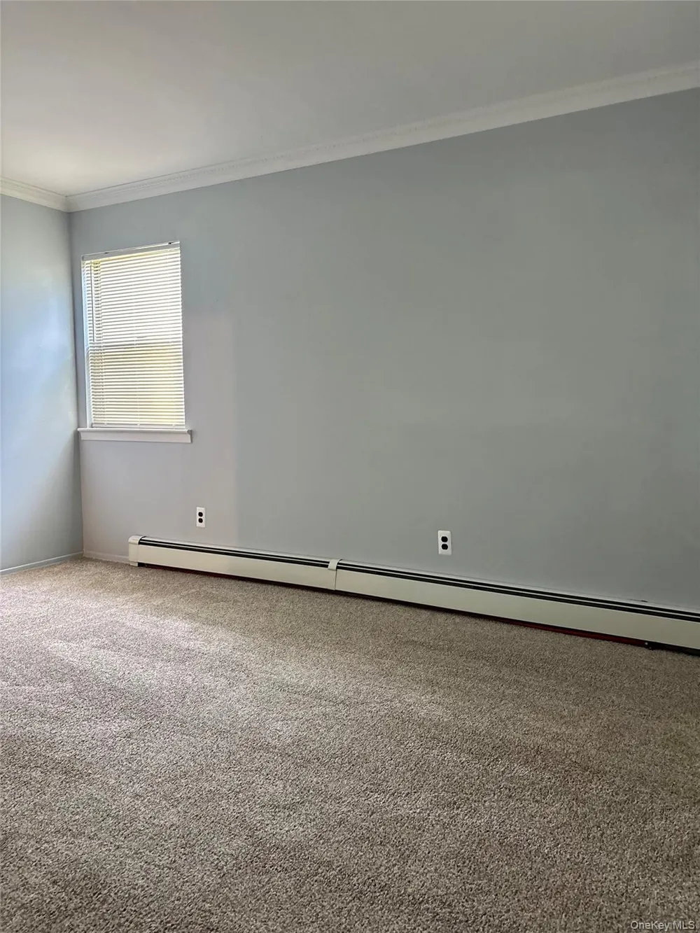 17 Alex Lane Glen Cove, NY 11542