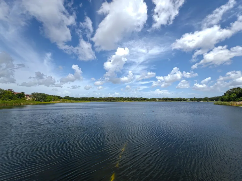 2022 NASH DRIVE Clearwater, FL 33763
