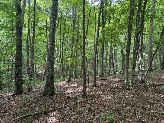 3 S Pittsburg Mountain Road South Pittsburg, TN 37380