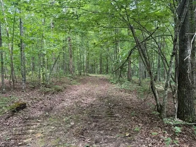 3 S Pittsburg Mountain Road South Pittsburg, TN 37380