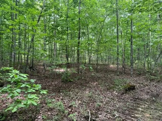 3 S Pittsburg Mountain Road South Pittsburg, TN 37380
