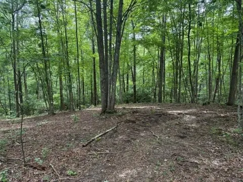 3 S Pittsburg Mountain Road