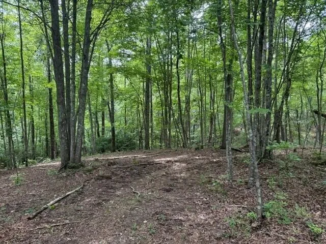 3 S Pittsburg Mountain Road South Pittsburg, TN 37380
