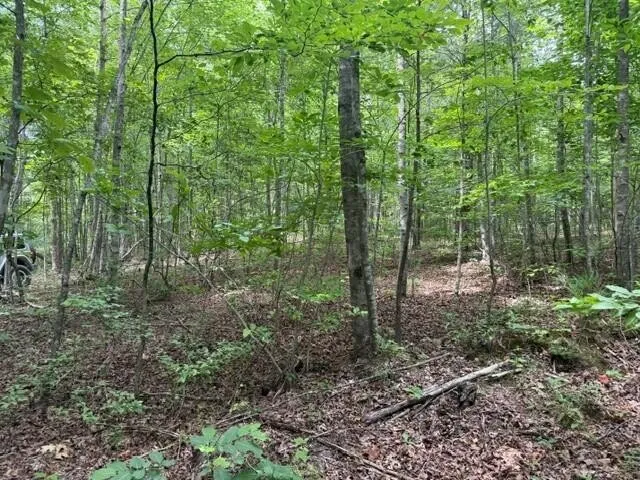 3 S Pittsburg Mountain Road South Pittsburg, TN 37380