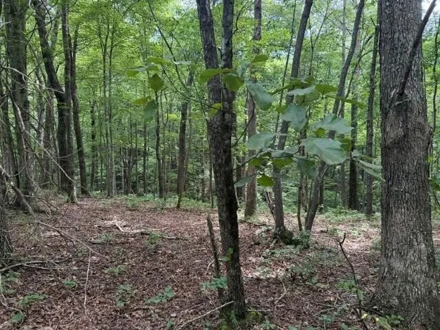 3 S Pittsburg Mountain Road South Pittsburg, TN 37380