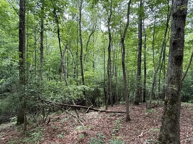 3 S Pittsburg Mountain Road South Pittsburg, TN 37380