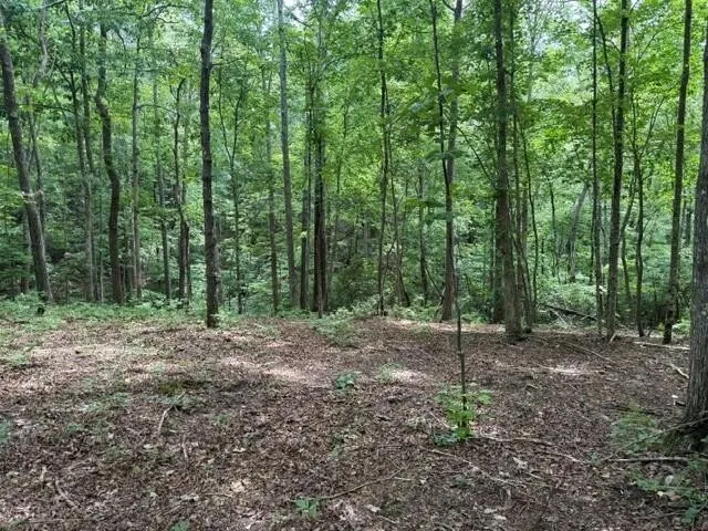 3 S Pittsburg Mountain Road South Pittsburg, TN 37380