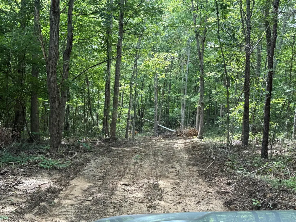 3 S Pittsburg Mountain Road South Pittsburg, TN 37380