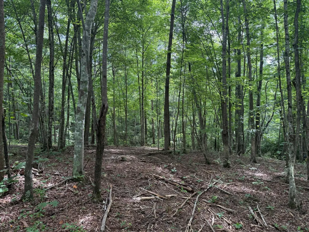 3 S Pittsburg Mountain Road South Pittsburg, TN 37380