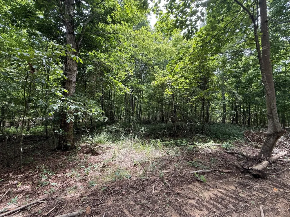 3 S Pittsburg Mountain Road South Pittsburg, TN 37380