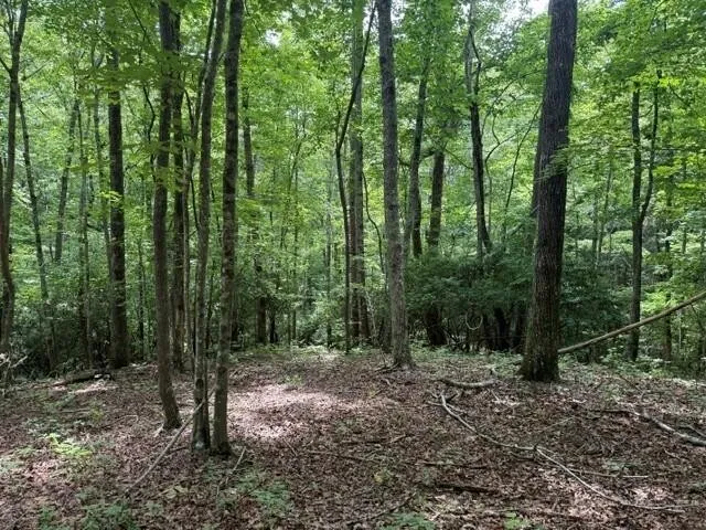 3 S Pittsburg Mountain Road South Pittsburg, TN 37380