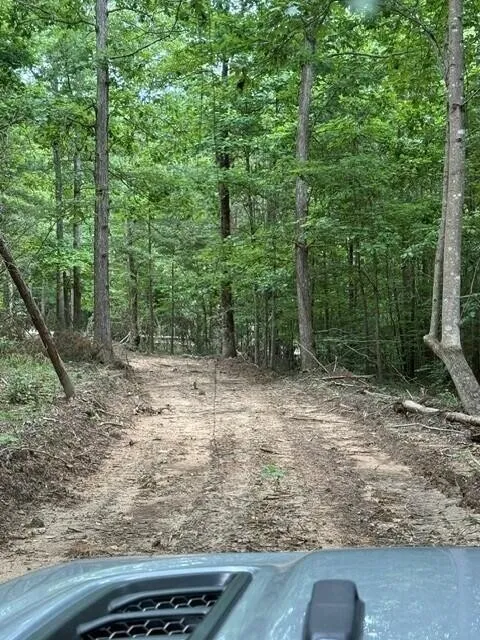 3 S Pittsburg Mountain Road South Pittsburg, TN 37380