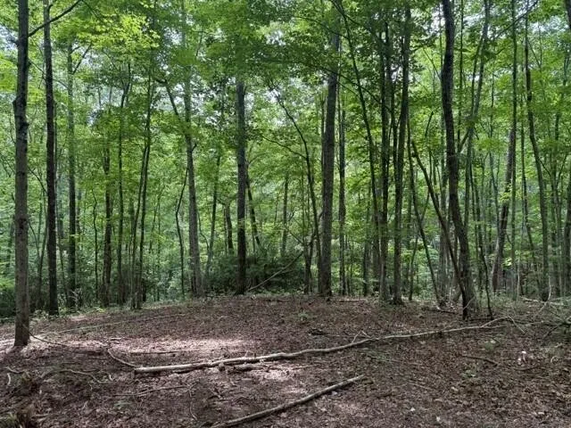 3 S Pittsburg Mountain Road South Pittsburg, TN 37380