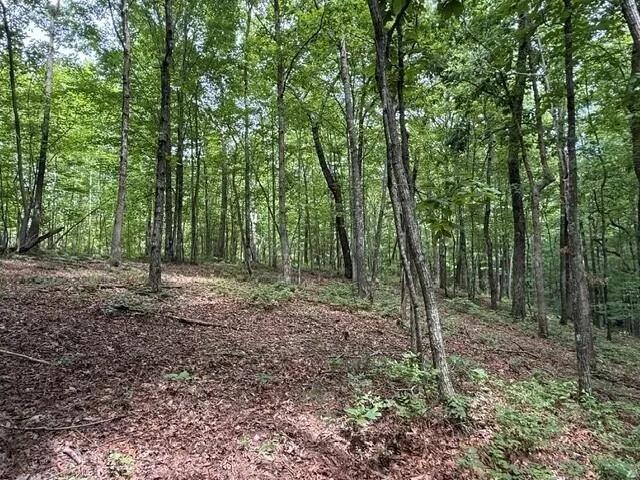 3 S Pittsburg Mountain Road South Pittsburg, TN 37380