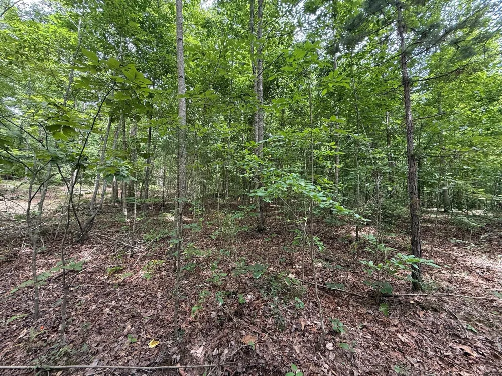 3 S Pittsburg Mountain Road South Pittsburg, TN 37380
