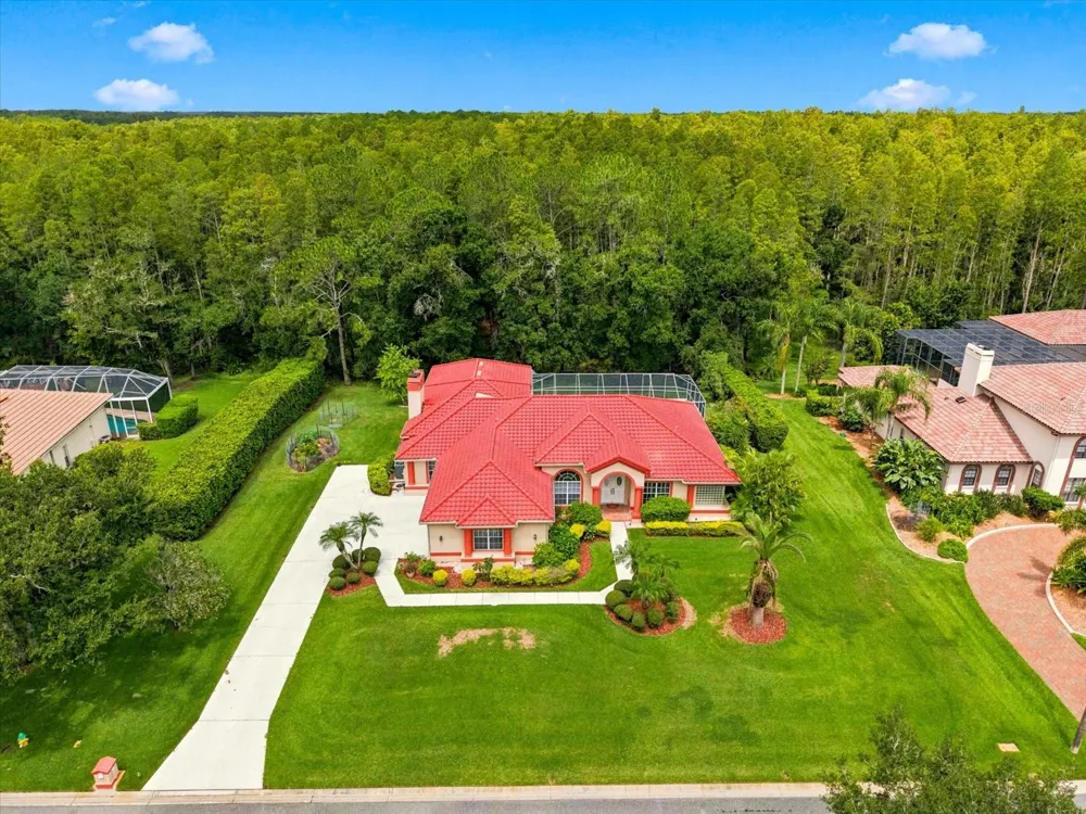 18621 AVENUE CAPRI Lutz, FL 33558