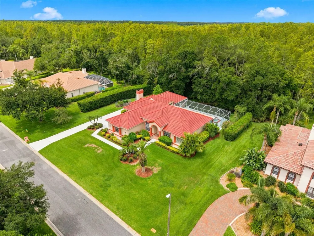 18621 AVENUE CAPRI Lutz, FL 33558