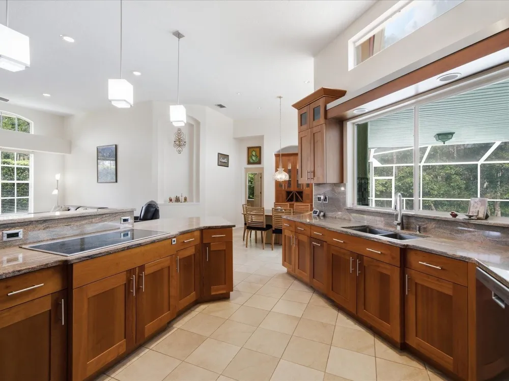 18621 AVENUE CAPRI Lutz, FL 33558