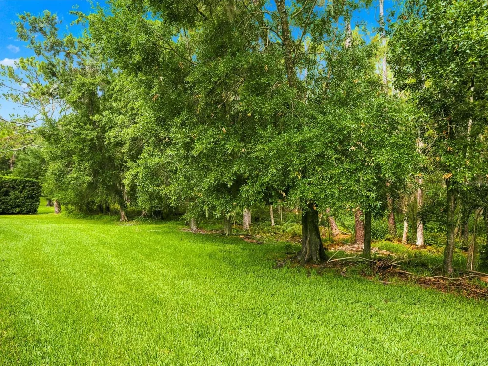 18621 AVENUE CAPRI Lutz, FL 33558