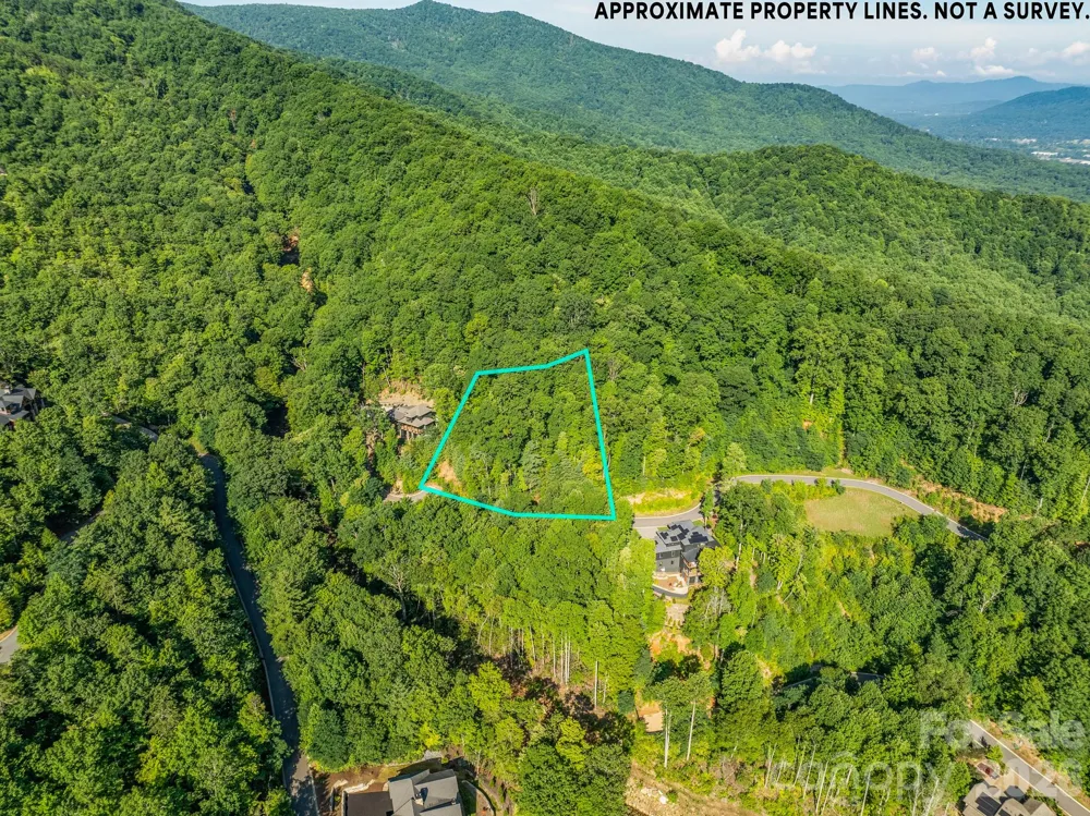 59 Old Greybeard Loop Black Mountain, NC 28711