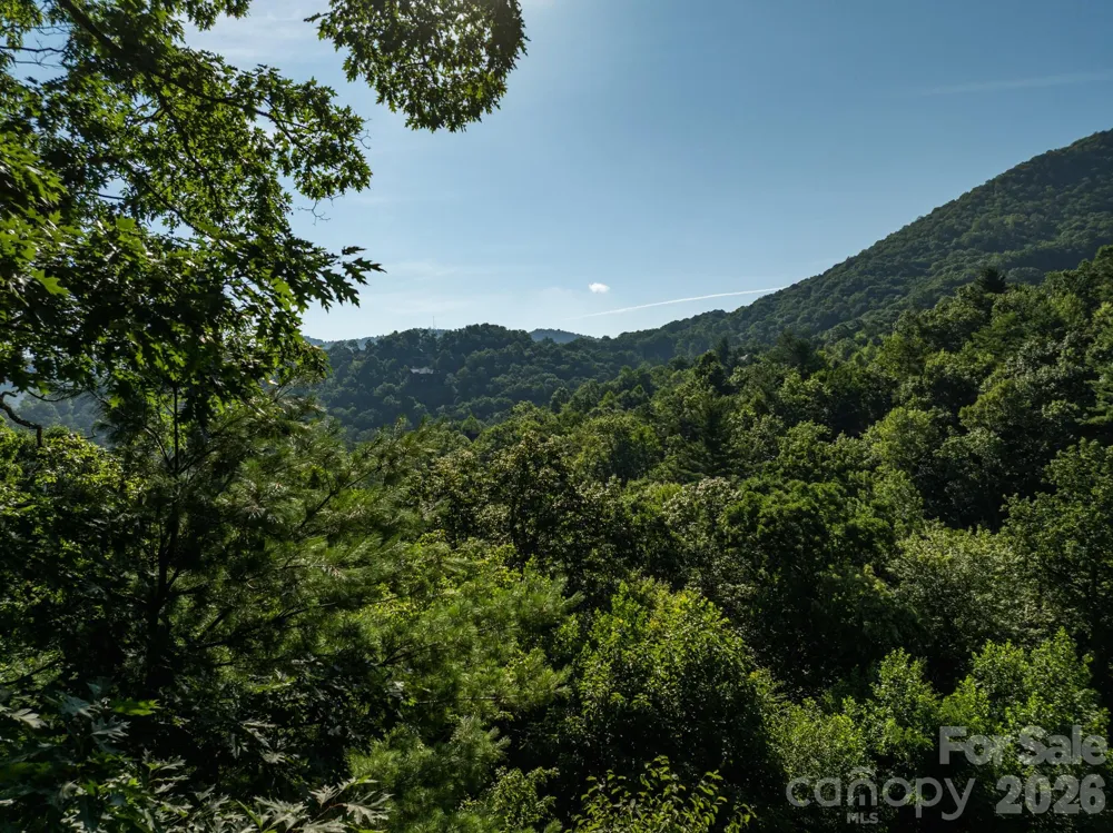 59 Old Greybeard Loop Black Mountain, NC 28711
