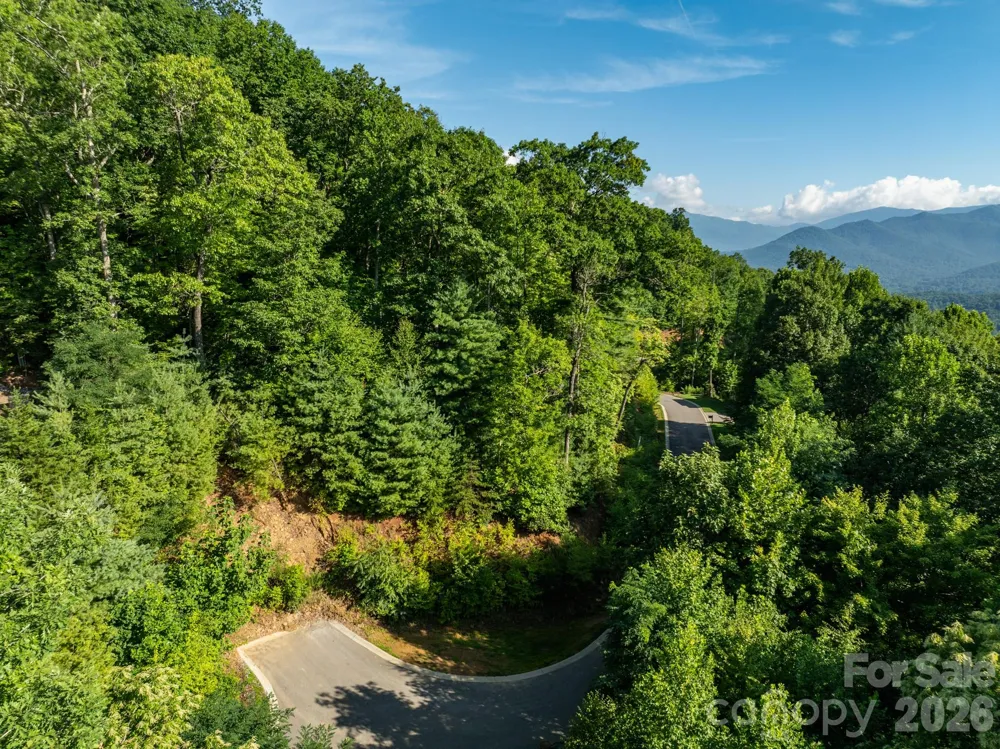 59 Old Greybeard Loop Black Mountain, NC 28711