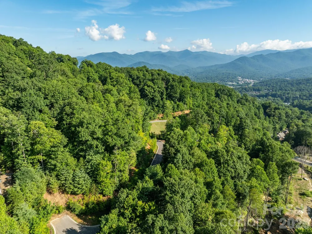 59 Old Greybeard Loop Black Mountain, NC 28711