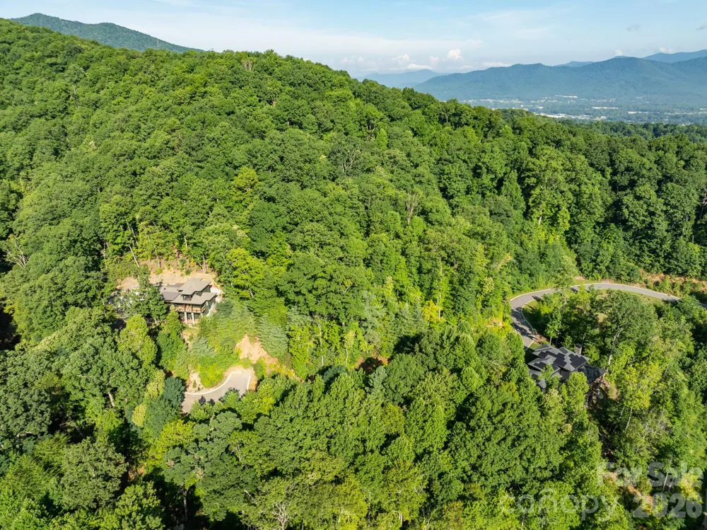 59 Old Greybeard Loop Black Mountain, NC 28711