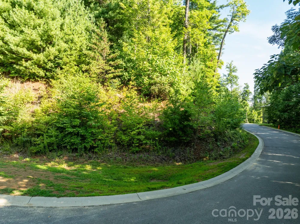 59 Old Greybeard Loop Black Mountain, NC 28711